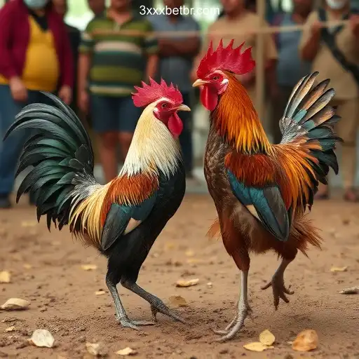 Exploring Sabong Games: A Deep Dive Into This Thrilling Tradition